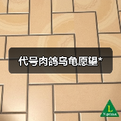 代号肉鸽乌龟愿望*（图2）