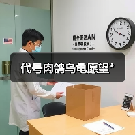 代号肉鸽乌龟愿望*（图3）