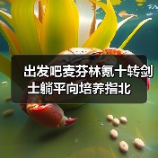 出发吧麦芬林氪十转剑士躺平向培养指北（图4）