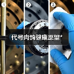 代号肉鸽健康愿望*（图2）