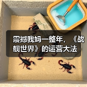 震撼我妈一整年,《战舰世界》的运营大法(图3) 震撼我妈一整年,《战舰世界》的运营大法(图3)