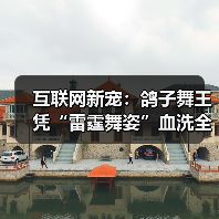 互联网新宠：鸽子舞王凭“雷霆舞姿”血洗全网（图2）