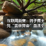 互联网新宠：鸽子舞王凭“雷霆舞姿”血洗全网（图4）
