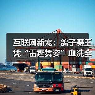 互联网新宠：鸽子舞王凭“雷霆舞姿”血洗全网（图3）