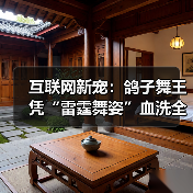 互联网新宠:鸽子舞王凭“雷霆舞姿”血洗全网(图3) 互联网新宠:鸽子舞王凭“雷霆舞姿”血洗全网(图3)