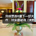 外媒票选R星下一部大作：玩家最期待《荒野大镖客3》（图3）