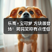 乐高×宝可梦 方块版登场!网民笑称有点怪但好想买(图4) 乐高×宝可梦 方块版登场!网民笑称有点怪但好想买(图4)
