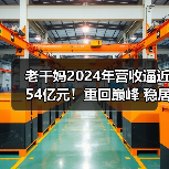 老干妈2024年营收逼近54亿元！重回巅峰 稳居行业第一（图3）
