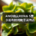 AMD确认RDNA 5显卡发布时间晚于英伟达RTX 60系列(图2) AMD确认RDNA 5显卡发布时间晚于英伟达RTX 60系列(图2)