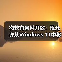 微软有条件开放：现允许从Windows 11中移除Copilot（图3）