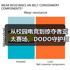 从校园电竞到掠夺者亚太赛场,DODO守护打瓦女孩完成国际征途(图3) 从校园电竞到掠夺者亚太赛场,DODO守护打瓦女孩完成国际征途(图3)