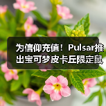 为信仰充值！Pulsar推出宝可梦皮卡丘限定鼠标套装！官方正版下载 - 极玩家