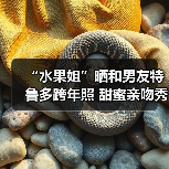 “水果姐”晒和男友特鲁多跨年照 甜蜜亲吻秀恩爱(图1) “水果姐”晒和男友特鲁多跨年照 甜蜜亲吻秀恩爱(图1)