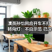 演员孙怡回应开车不打转向灯：不
