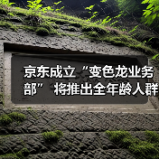 京东成立“变色龙业务部” 将推出全年龄人群AI玩具官方正版下载 - 极玩家