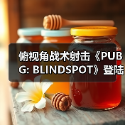 俯视角战术射击《PUBG: BLINDSPOT》登陆Steam 预计2月5日开启抢先体验（图2）