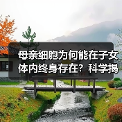 母亲细胞为何能在子女体内终身存在?科学揭示微嵌合体奥秘(图4) 母亲细胞为何能在子女体内终身存在?科学揭示微嵌合体奥秘(图4)