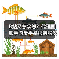 B站又惹众怒？代理国服手游反手举报韩服汉化官方正版下载 - 极玩家