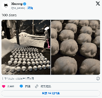 画师一年狂画100个雪人，竟然是为了这件事官方正版下载 - 极玩家