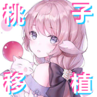 PixelBunny官方正版下载 - 极玩家